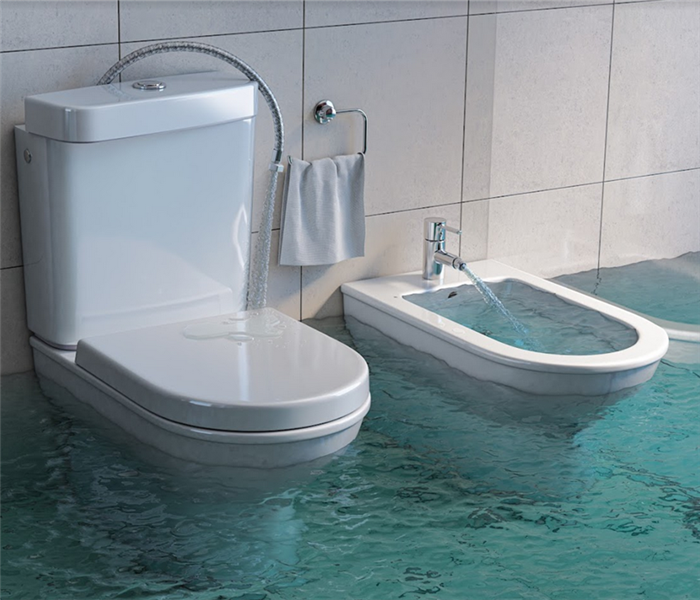 a flooded bathroom with the bidet and toilet overflowing
