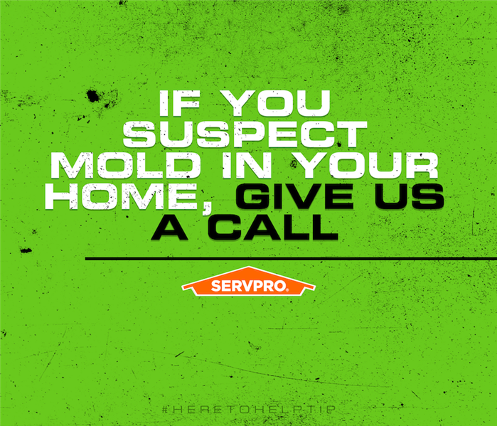 SERVPRO if you suspect mold in your home, give us a call sign